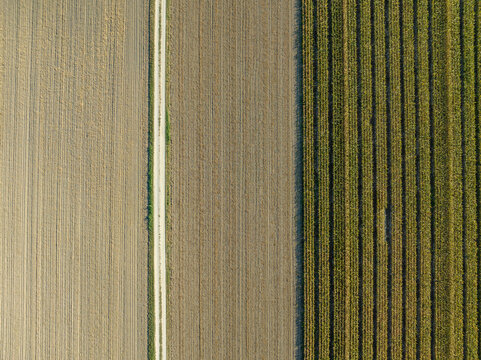 Aerial view of three phases of a field with prepped, plowed separated by a dirt road, Wagram An Der Donau, Lower Austria, Austria.
