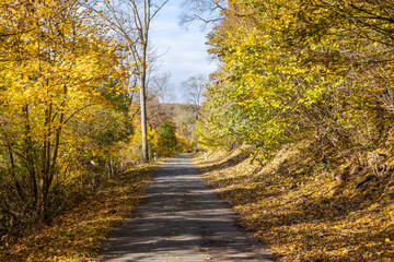 Fototapeta na wymiar herbstliche Impressionen Herbst im Harz Selketal