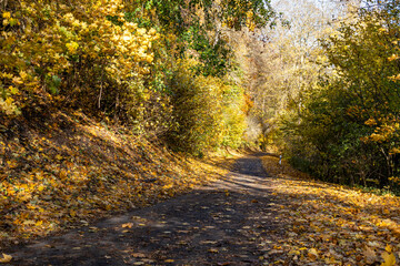 herbstliche Impressionen Herbst im Harz Selketal