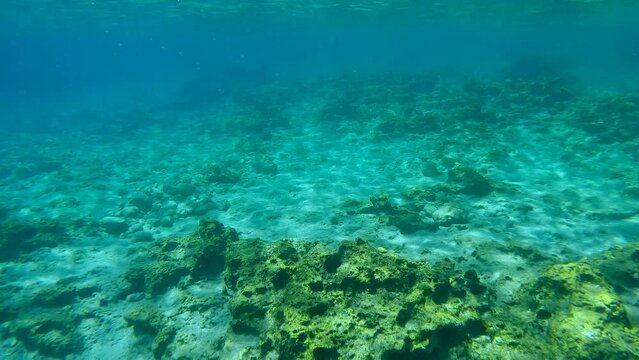 Sandy rocky seabed in shallow water on a sunny day, Slow motion. Natural underwater background, Rhodes island, Mediterranean sea, Greece
