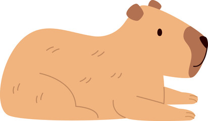 Capybara Animal Lying