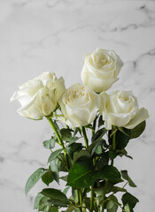 white roses with droplets on a light background