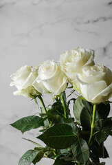 white roses with droplets on a light background