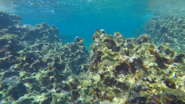 Relief of rocky seabed under water surface on shallow water, Natural underwater landscape, Slow motion, Mediterranean Sea, Rhodes island,  Greece