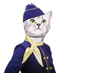 Portrait of a lovely cat wearing a stewardess costume isolated on a white background
