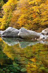 river in autumn forest
