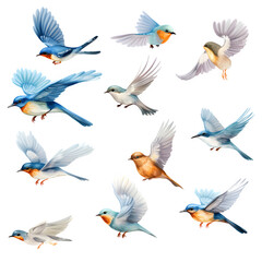 set of birds, birds in flight On transparent background Generative AI