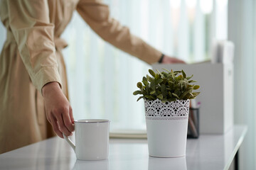 New employee taking out coffee cup and flower pot on desk in new office