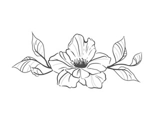 a flower with leaves. Outline, coloring book. Vector illustration. Black and white.