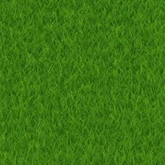 Selbstklebende Fototapeten Green grass texture seamless pattern. Vector © Glitter_Klo