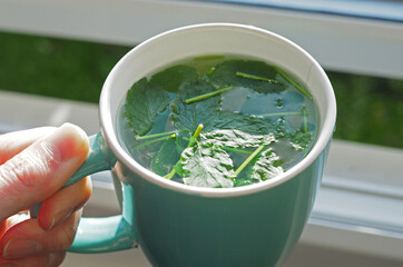 Hot mug of peppermint tea with freshly cut mint leaves © brightimage