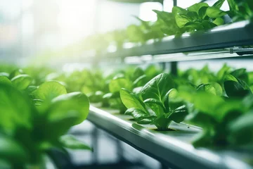 Foto op Aluminium Agro-Tech Farms - High-tech vertical farm growing leafy greens, demonstrating agriculture technology and food innovation - AI Generated © Arthur
