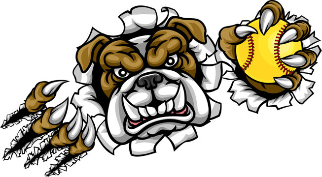 A bulldog animal softball sports team cartoon mascot