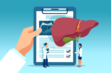 Liver disease and pathology lab exam concept. Vector of a male doctor reviews medical tests result - obrazy, fototapety, plakaty