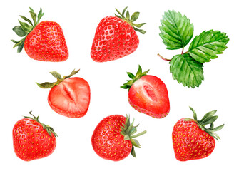 Watercolor illustration of strawberries set close up. A hand-drawn painting. PNG