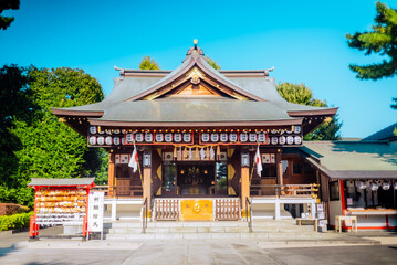 Fototapeta premium 【東京】氷川神社 七五三撮影