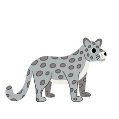 Obraz na płótnie Canvas Vector illustration of cute snow leopard isolated on white background.