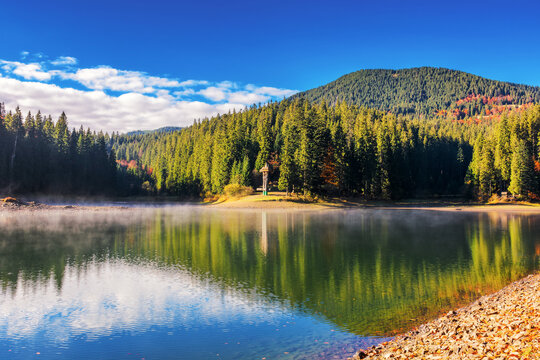 spruce forest reflection on the surface of a synevyr lake, ukraine. mist above the water on a sunny day. mountainous landscape in autumn