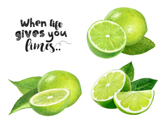Watercolor illustration of limes set close up. Design template for packaging, menu, postcards