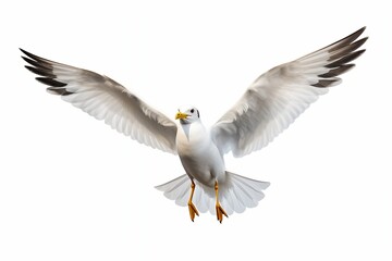 Fototapeta premium Generative AI : Flying seagull isolated on white background