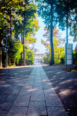 【神奈川】星川杉山神社　七五三