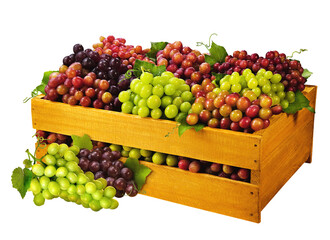 caixa de madeira rústica com diferentes tipos de uvas frescas isolado em fundo transparente