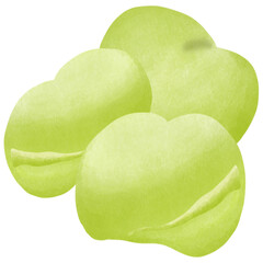 Broad bean on white background.