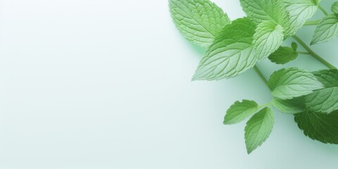 green leaves background, banner, AI generated