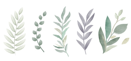 Vector watercolor illustrations. Set of Green leaves, herbs and branches. Floral Design elements.
