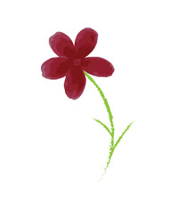 pink flower isolated on transparent background
