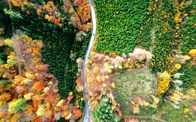Autumn landscape birds eye view from aerial view - 674557196