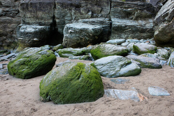 Some large rocks filled with moss seen at low tide on a beach in Cornwall.