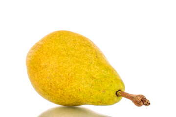 One sweet yellow pear, macro, isolated on white background.