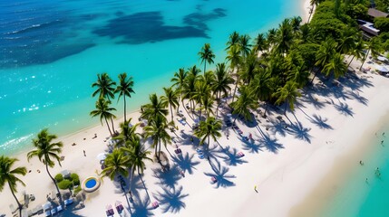 Aerial view of beautiful tropical island with palm trees and sand beach