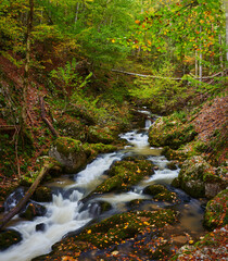 Autumn landscape with river in a gorge
