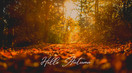 autumn background
