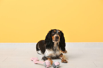 Cute cocker spaniel with toy near yellow wall