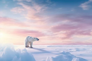Fototapeten Polar bear stand in wild in Winter with snow at sunrise. © rabbit75_fot