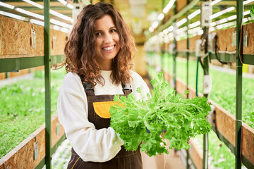 Cheerful female gardener holding green leafy plant - salad frisee, looking at camera and smiling. Portrait of young woman worker standing in aisle between shelves with plants in greenhouse.