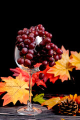 grapes inside wine glass with autumn leaves on black background vertical