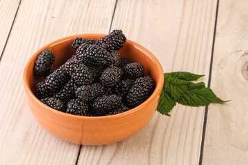 Natural organic blackberry in the bowl