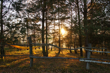 Naklejka premium Sunset Through The Autumn Trees, Beautifull Outdoor Autumn