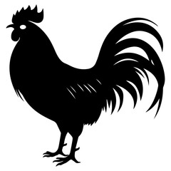 Australorp Chicken vector silhouette illustration black color