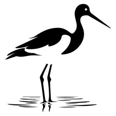 Avocet vector silhouette black color white background