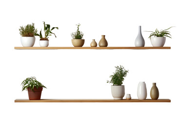 Plants On Wall Mounted Shelves Isolated On Transparent Background PNG.
