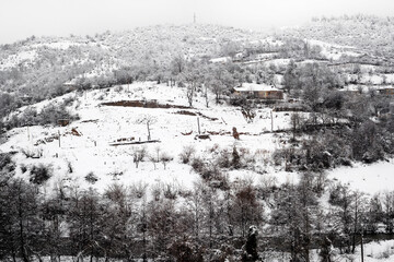 Winter landscape of a mountain village. Houses and trees in the snow on a hill above a mountain river in Georgia