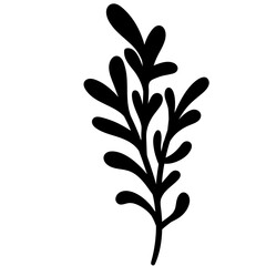 Christmas botanical decoration