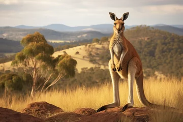 Zelfklevend Fotobehang kangaroo standing in the background of the hills © ORG