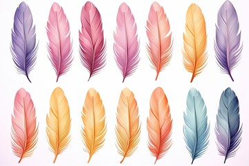 set of pastel colors watercolor feathers on white background