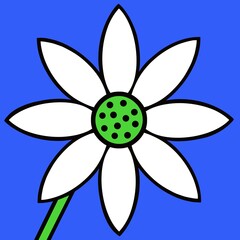 Bold modern daisy design. This flower illustration has been created in a fun cartoon style with a black outline. A graphic illustration of a flower with a bright blue background. Contemporary art. 